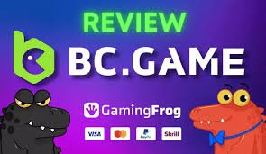 Exploring BC Game A Next-Gen Online Gaming Experience